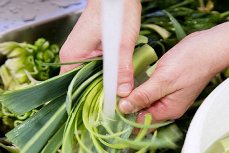 Aumenta a quantidade de orgânicos no setor alimentício da Dinamarca