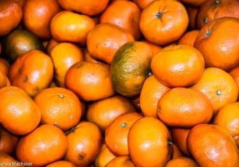 Como saber se um alimento é orgânico de verdade? Como saber se um alimento é orgânico de verdade?