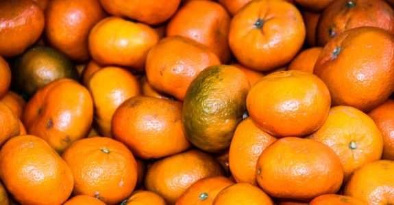 Como saber se um alimento é orgânico de verdade?