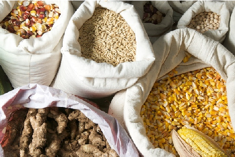 Brasília recebe curso de formação para direitos dos agricultores sobre recurso da Reaf Mercosul Brasília recebe curso de formação para direitos dos agricultores sobre recurso da Reaf Mercosul