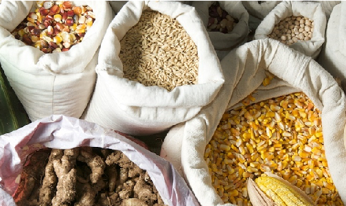 Brasília recebe curso de formação para direitos dos agricultores  sobre recurso da Reaf Mercosul