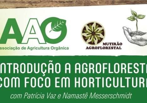 SP – AAO promove curso de Introdução a Agrofloresta com foco em horticultura