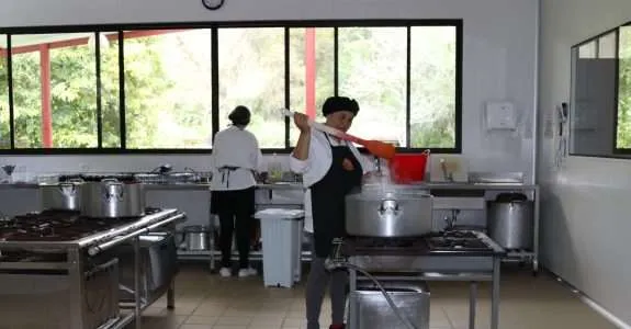 Boas Práticas de Fabricação de Alimentos Orgânicos: manual para produtores e técnicos Boas Práticas de Fabricação de Alimentos Orgânicos: manual para produtores e técnicos