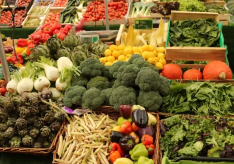 Paraná Mais Orgânico: Um programa de orientação a agricultores familiares
