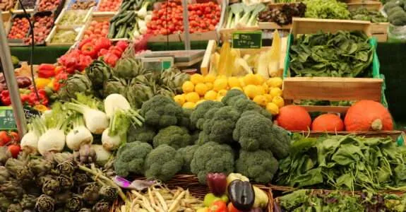 Boas práticas agrícolas e a produção orgânica de frutas, legumes e verduras Boas práticas agrícolas e a produção orgânica de frutas, legumes e verduras