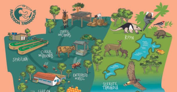 Pierre Landolt e a Fazenda Tamanduá: um modelo de sustentabilidade, inovação e produtividade no semiárido paraibano Pierre Landolt e a Fazenda Tamanduá: um modelo de sustentabilidade, inovação e produtividade no semiárido paraibano