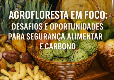 “Agrofloresta em foco: desafios e oportunidades para segurança alimentar e carbono”