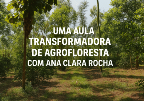 Uma aula transformadora de agrofloresta com Ana Clara Rocha