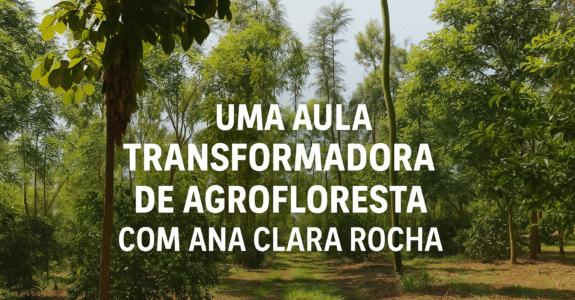 Uma aula transformadora de agrofloresta com Ana Clara Rocha