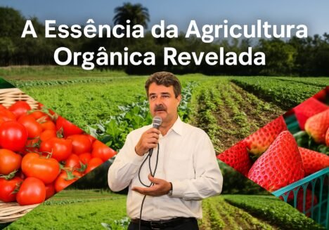 A Essência da Agricultura Orgânica Revelada
