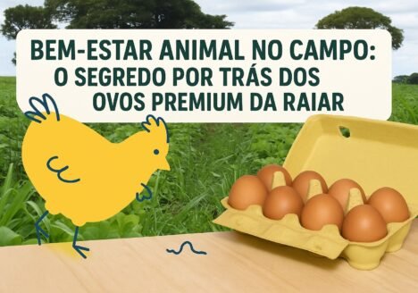 Bem-estar animal no campo: o segredo por trás dos ovos premium da Raiar