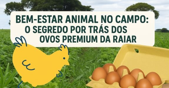 Bem-estar animal no campo: o segredo por trás dos ovos premium da Raiar