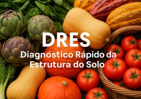 DRES da Embrapa: Avalie e transforme a estrutura do solo em poucos passos