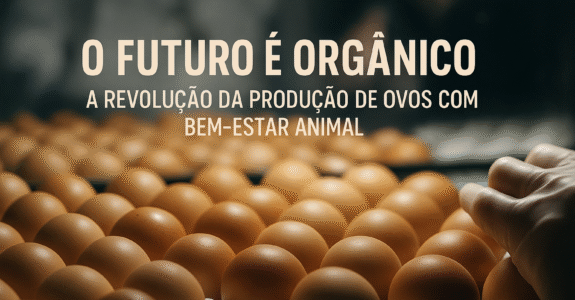 O Futuro é Orgânico: A Revolução da Produção de Ovos com Bem-Estar Animal