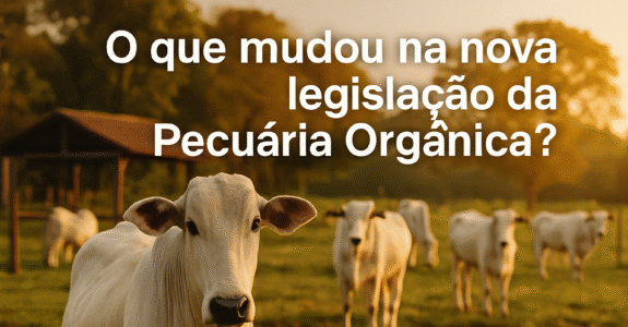 O que mudou na nova legislação da Pecuária Orgânica?