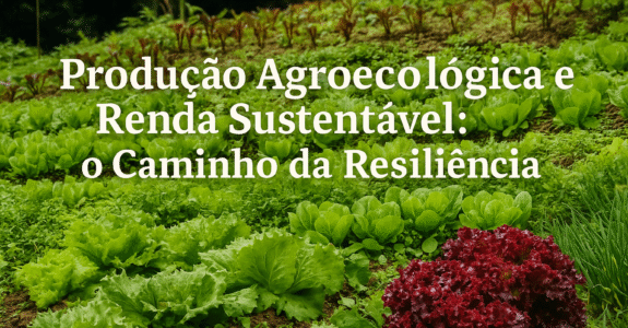 Produção Agroecológica e Renda Sustentável: o Caminho da Resiliência