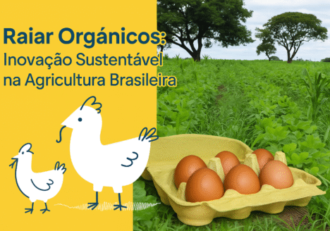 Raiar Orgânicos: Inovação Sustentável na Agricultura Brasileira
