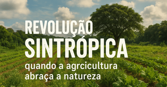 Revolução Sintrópica: quando a agricultura abraça a natureza Revolução Sintrópica: quando a agricultura abraça a natureza