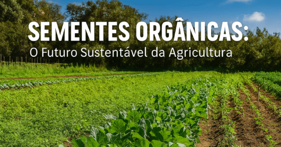 Sementes Orgânicas: O Futuro Sustentável da Agricultura