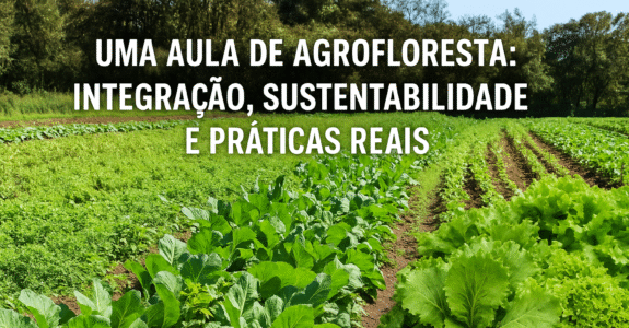 Uma Aula de Agrofloresta: Integração, Sustentabilidade e Práticas Reais