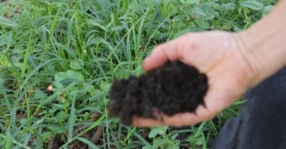 Agricultura familiar receberá R$ 60 milhões para produção de bioinsumo