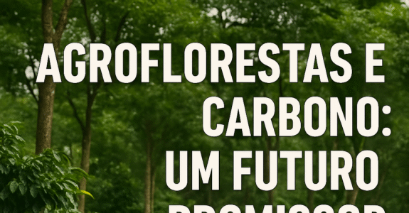 Agroflorestas e Carbono: Um Futuro Promissor
