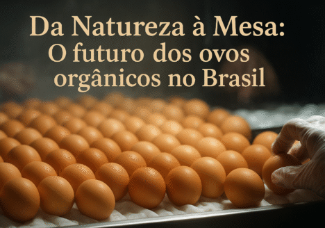 Da Natureza à Mesa: O futuro dos ovos orgânicos no Brasil
