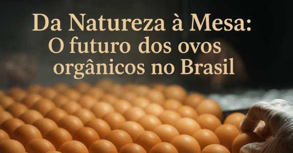 Da Natureza à Mesa: O futuro dos ovos orgânicos no Brasil