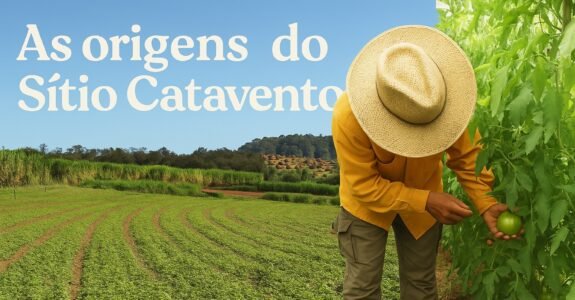 Descubra as Fascinantes Origens do Sítio Catavento: Um Lugar de História e Natureza