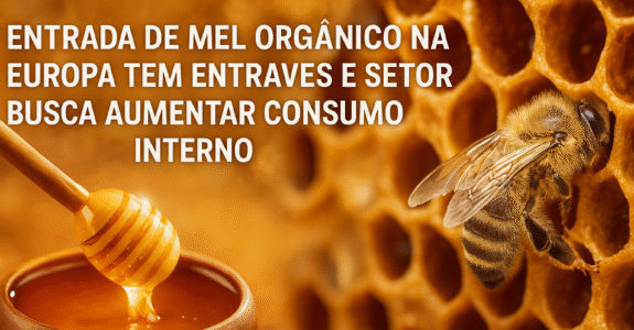 Entrada de mel orgânico na Europa tem entraves e setor busca aumentar consumo interno