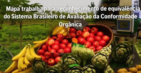 Mapa trabalhará para reconhecimento de equivalência do Sistema Brasileiro de Avaliação da Conformidade Orgânica