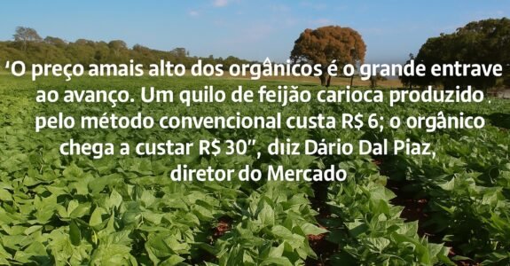 “O preço mais alto dos orgânicos é o grande entrave ao avanço. Um quilo de feijão carioca produzido pelo método convencional custa R$ 6; o orgânico chega a custar R$ 30”, diz Dário Dal Piaz, diretor do Mercado Orgânico