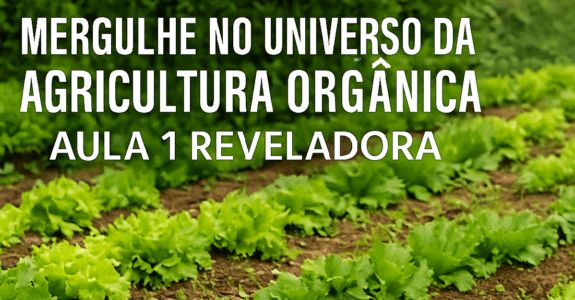 Mergulhe no Universo da Agricultura Orgânica