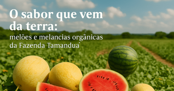 O sabor que vem da terra: melões e melancias orgânicas da Fazenda Tamanduá