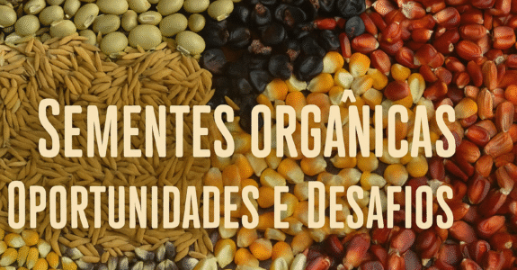 Sementes Orgânicas Oportunidades e Desafios Sementes Orgânicas Oportunidades e Desafios