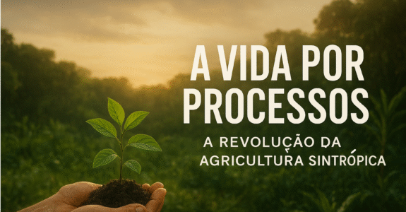 A Vida por Processos: A Revolução da Agricultura Sintrópica