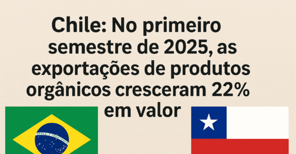 Chile: No primeiro semestre de 2025, as exportações de produtos orgânicos cresceram 22% em valor