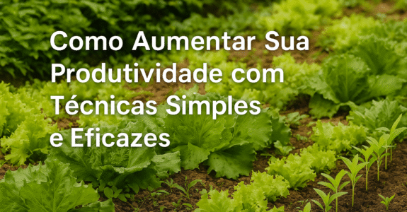 Como Aumentar Sua Produtividade com Técnicas Simples e Eficazes