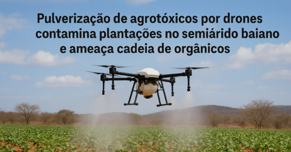 Denúncia: pulverização de agrotóxicos por drones contamina plantações no semiárido baiano e ameaça cadeia de orgânicos
