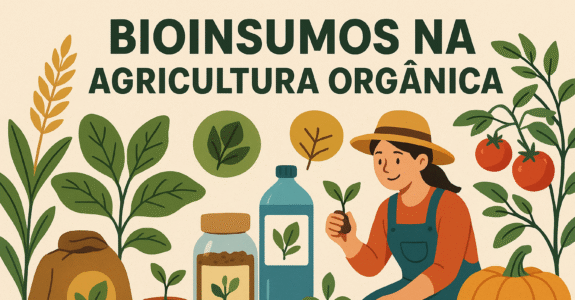 Bioinsumos na agricultura: método simples para conquistar mais tempo e resultados