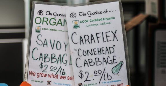 Crescimento do mercado orgânico dos EUA acelerou em 2024