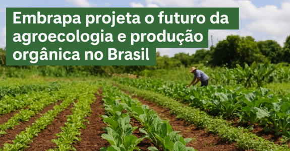 Embrapa projeta o futuro da agroecologia e produção orgânica no Brasil