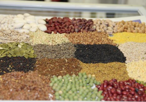 Mapa orienta exposição de produtos orgânicos em pontos de venda