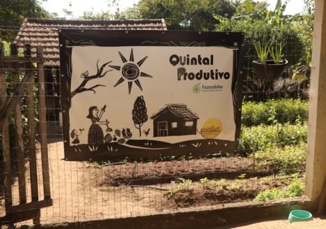 Aproveitamento de quintais para produção de alimentos e geração de renda é tema de mesa-redonda na Agrizone