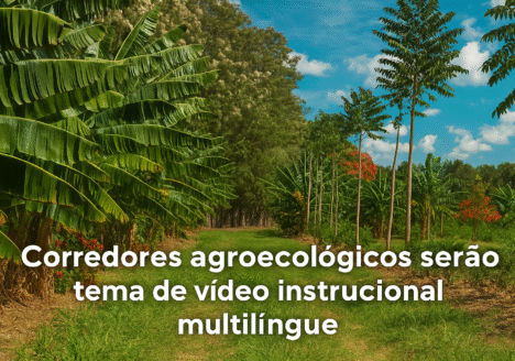 Corredores agroecológicos serão tema de vídeo instrucional multilíngue