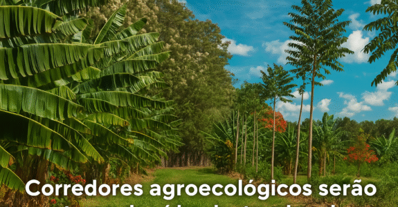 Corredores agroecológicos serão tema de vídeo instrucional multilíngue