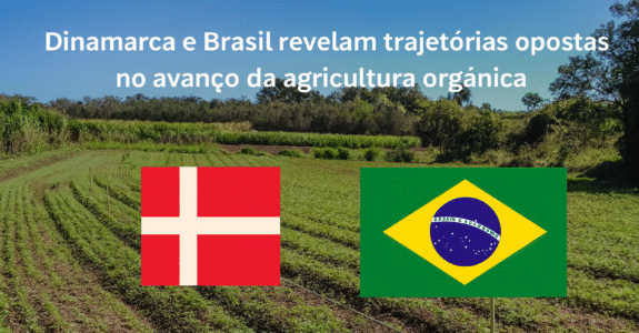 Dinamarca e Brasil revelam trajetórias opostas no avanço da agricultura orgânica