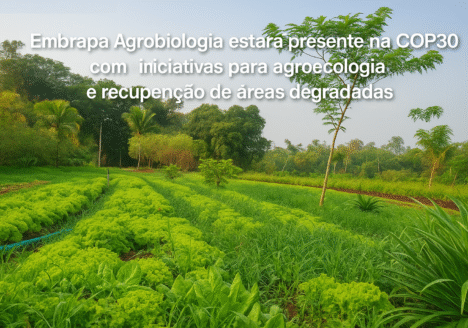 Embrapa Agrobiologia estará presente na COP30 com iniciativas para agroecologia e recuperação de áreas degradadas