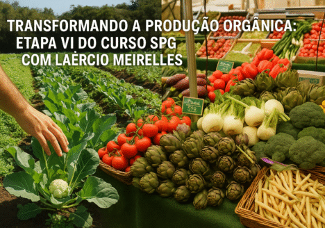 Transformando a Produção Orgânica: Etapa VI do Curso SPG com Laércio Meirelles