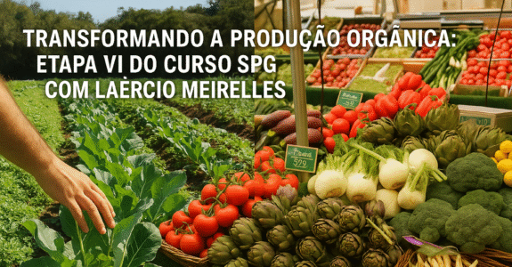 Transformando a Produção Orgânica: Etapa VI do Curso SPG com Laércio Meirelles